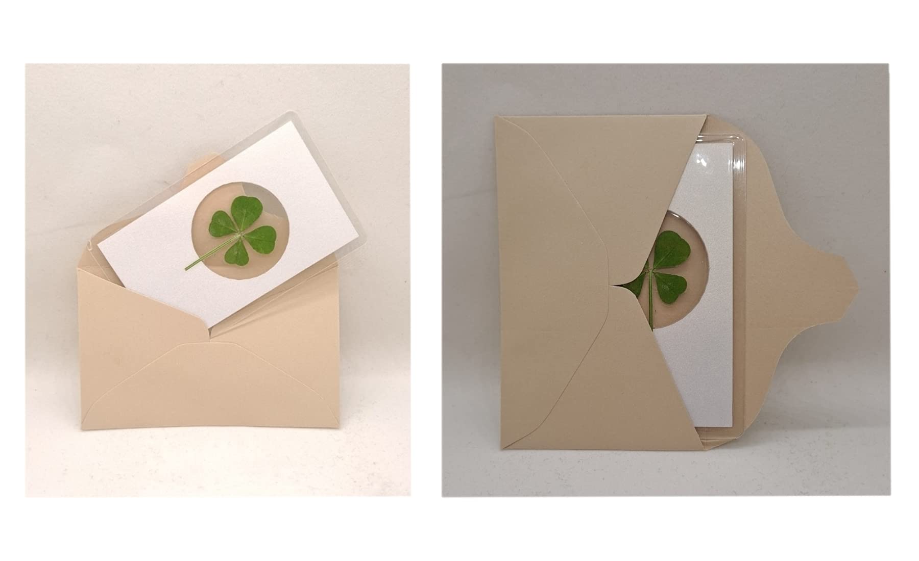 Amazon | 四つ葉のクローバー 10パック - ラッキーチャーム ラミネート